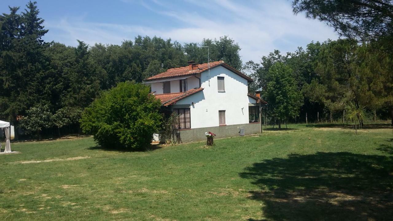 Artenatura Beb Террануова-Браччолини Экстерьер фото